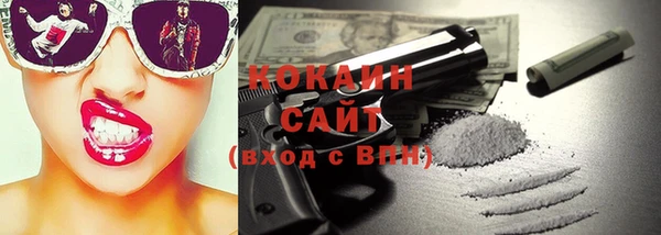 СК Бронницы