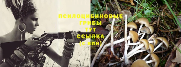 СК Бронницы