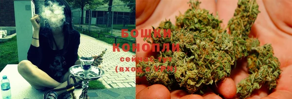 амф Бородино