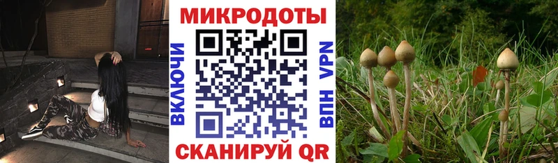 Галлюциногенные грибы мицелий  Купить где  Минусинск 